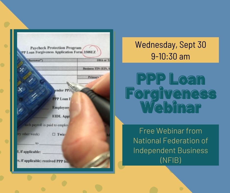 PPP forgiveness application webinar